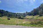 Zemljiste, Delnice, Crni Lug, prodaja, 105000 €, 2219 m2