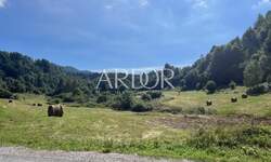 Zemljiste, Delnice, Crni Lug, prodaja, 105000 €, 2219 m2