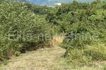 Zemljiste, Marčana, Rakalj, prodaja, 95500 €, 5147 m2