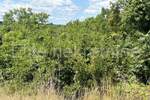 Zemljiste, Marčana, Rakalj, prodaja, 36700 €, 1485 m2
