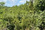 Zemljiste, Marčana, Rakalj, prodaja, 36700 €, 1485 m2