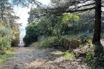 Zemljiste, Umag, prodaja, 210000 €, 0 m2