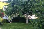 Kuca, Pula, prodaja, 510000 €, 220 m2