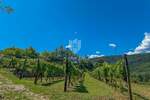 Zemljiste, Motovun, prodaja, 140000 €, 1970 m2