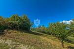 Zemljiste, Motovun, prodaja, 140000 €, 1300 m2