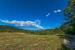 Zemljiste, Motovun, prodaja, 140000 €, 1300 m2