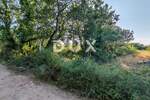 Zemljiste, Zadar, Petrići, prodaja, 72600 €, 726 m2