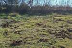 Zemljiste, Marčana, prodaja, 69000 €, 0 m2