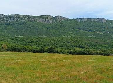Zemljiste, Buzet, prodaja, 76100 €, 0 m2
