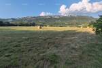 Zemljiste, Buzet, prodaja, 76100 €, 0 m2