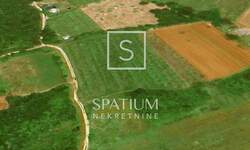 Zemljiste, Poreč, prodaja, 125000 €, 7628 m2