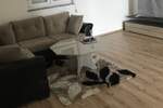 Apartman, Crikvenica, Jadranovo, prodaja, 150000 €, 45 m2