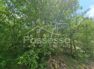 Zemljiste, Buzet, Hum, prodaja, 24900 €, 58804 m2