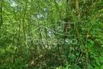 Zemljiste, Buzet, Hum, prodaja, 24900 €, 58804 m2
