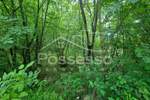 Zemljiste, Buzet, Hum, prodaja, 24900 €, 58804 m2