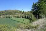 Zemljiste, Pazin, Trviž, prodaja, 345000 €, 46576 m2