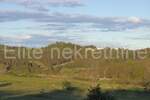 Zemljiste, Pazin, Trviž, prodaja, 345000 €, 46576 m2