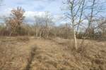 Zemljiste, Grožnjan, prodaja, 85000 €, 0 m2