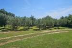 Zemljiste, Krnica, prodaja, 140000 €, 0 m2