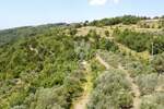 Zemljiste, Oprtalj, prodaja, 473895 €, 10531 m2