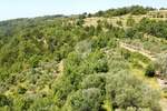Zemljiste, Oprtalj, prodaja, 473895 €, 10531 m2