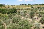 Zemljiste, Oprtalj, prodaja, 473895 €, 10531 m2