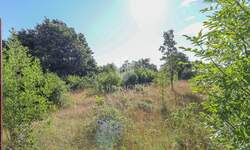 Zemljiste, Kanfanar, prodaja, 90000 €, 2020 m2