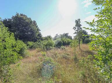 Zemljiste, Kanfanar, prodaja, 90000 €, 2020 m2
