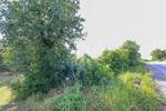 Zemljiste, Kanfanar, prodaja, 90000 €, 2020 m2
