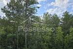 Zemljiste, Buzet, Hum, prodaja, 2953 €, 2953 m2