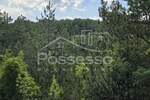 Zemljiste, Buzet, Hum, prodaja, 2953 €, 2953 m2