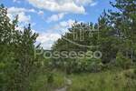 Zemljiste, Buzet, Hum, prodaja, 2953 €, 2953 m2