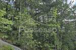 Zemljiste, Buzet, Hum, prodaja, 2953 €, 2953 m2