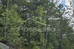 Zemljiste, Buzet, Hum, prodaja, 2953 €, 2953 m2