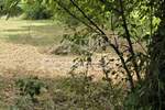 Zemljiste, Buzet, prodaja, 33960 €, 1132 m2