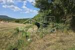 Zemljiste, Buzet, prodaja, 39825 €, 1350 m2