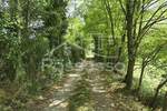 Zemljiste, Buzet, Selca, prodaja, 29055 €, 1431 m2