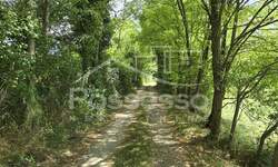 Zemljiste, Buzet, Selca, prodaja, 29055 €, 1431 m2