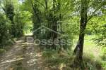 Zemljiste, Buzet, Selca, prodaja, 29055 €, 1431 m2