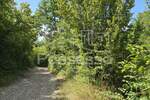 Zemljiste, Buzet, Selca, prodaja, 29055 €, 1431 m2