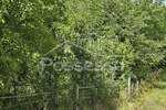 Zemljiste, Buzet, Selca, prodaja, 29055 €, 1431 m2