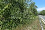 Zemljiste, Buzet, prodaja, 35532 €, 1269 m2