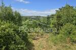 Zemljiste, Buzet, prodaja, 35532 €, 1269 m2