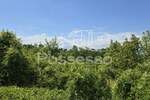 Zemljiste, Buzet, prodaja, 35532 €, 1269 m2