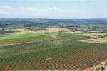 Zemljiste, Marčana, Loborika, prodaja, 96500 €, 743 m2