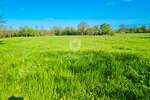 Zemljiste, Poreč, prodaja, 120000 €, 898 m2