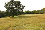 Zemljiste, Barban, Puntera, prodaja, 767000 €, 7222 m2