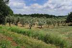 Zemljiste, Poreč, prodaja, 45000 €, 3276 m2