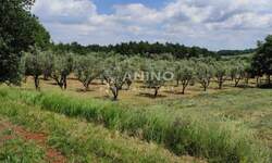 Zemljiste, Poreč, prodaja, 45000 €, 3276 m2