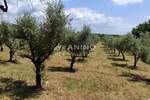Zemljiste, Poreč, prodaja, 45000 €, 3276 m2
